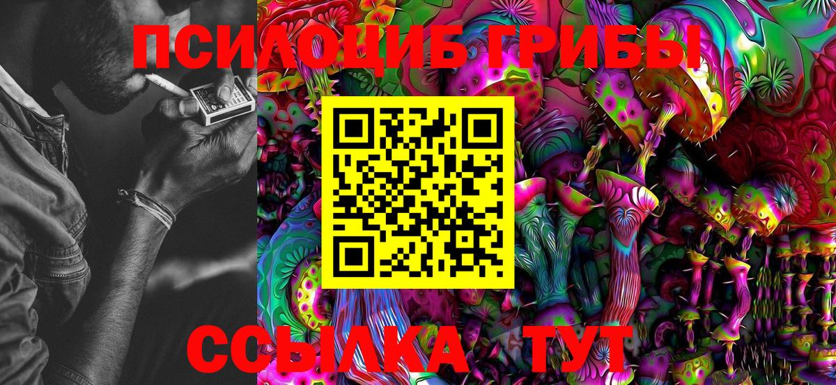 Вязьма  Псилоцибиновые грибы MAGIC MUSHROOMS  Вход с VPN  Галлюциногенные грибы Cubensis 
